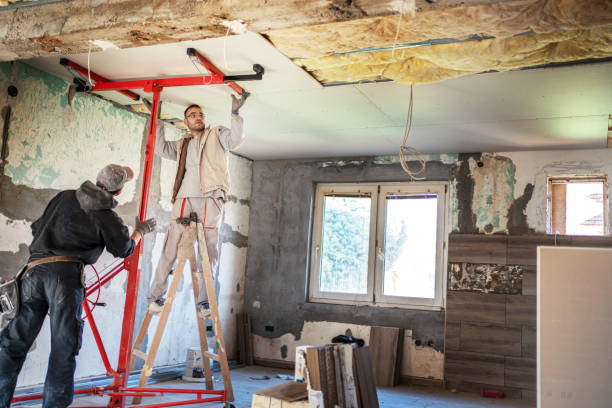 Best Insulation Repair Services  in Greensboro, MD