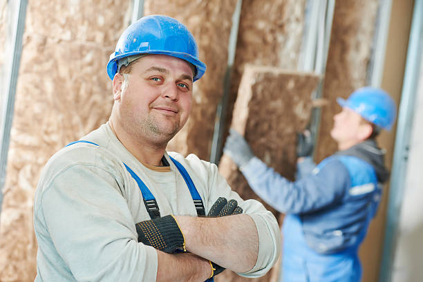 Best Insulation for New Construction  in Greensboro, MD